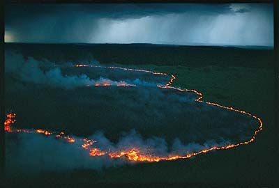 wpid-10482_incendio.jpg