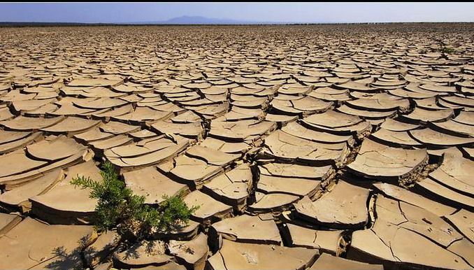 wpid-9174_deserto.jpg