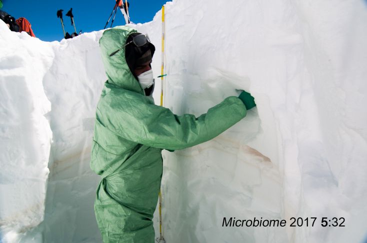 Campionamento della neve